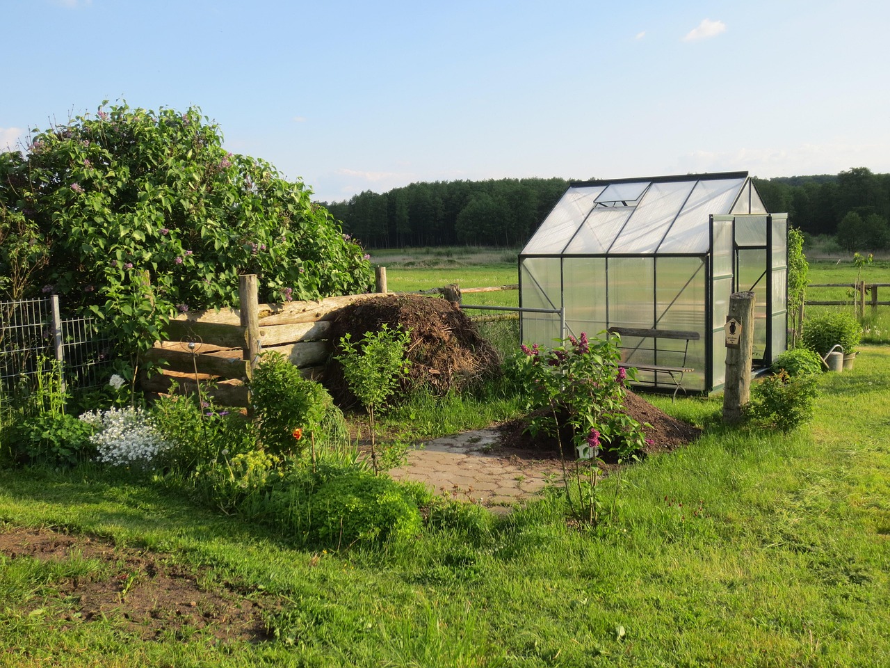 greenhouse, allotment garden, garden shed, garden, schwerin, nature, germany, greenhouse, greenhouse, greenhouse, greenhouse, greenhouse, allotment garden, allotment garden, allotment garden, garden shed